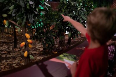 Porto: Chocolate Museum - Chocolate’s Delicious Journey + Tasting - Factory time: why a working Vinte Vinte visit changes the game