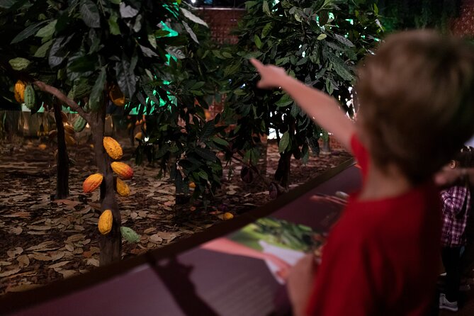 Porto: Chocolate Museum - Chocolate’s Delicious Journey + Tasting - Factory time: why a working Vinte Vinte visit changes the game
