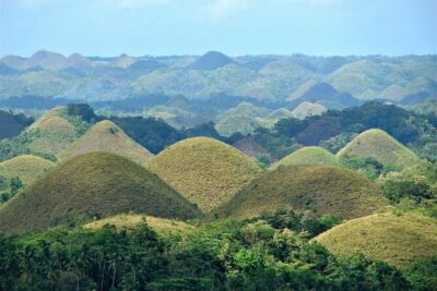 Private Bohol and Chocolate Hills with Loboc River Cruise - Corella tarsiers: the small-primate stop that changes your sense of scale