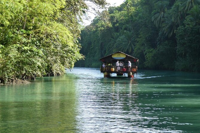 Private Bohol and Chocolate Hills with Loboc River Cruise - Who this tour suits best (and who should rethink it)