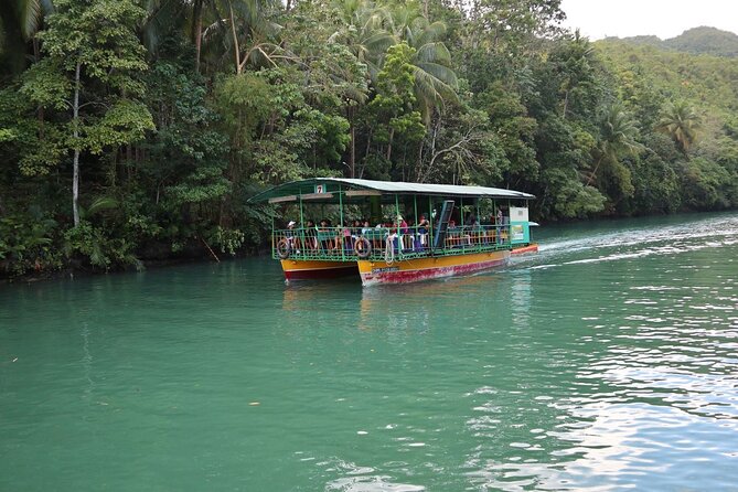 Private Bohol and Chocolate Hills with Loboc River Cruise - Making the most of your 8 hours: smart planning moves