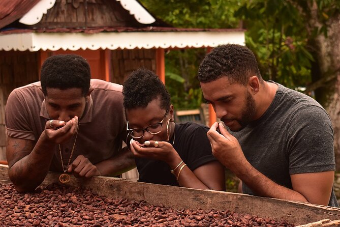 Private Chocolate Making Class - Private Chocolate Making at Fond Doux Eco Resort: What You’re Really Buying