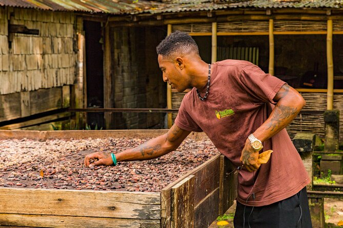 Private Chocolate Making Class - Price, Value, and Group Size: Is $50 a Good Deal?