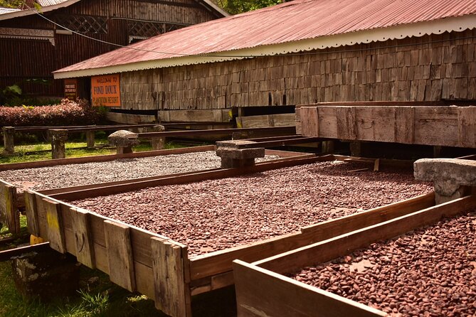 Private Chocolate Making Class - Who Should Book This Private Chocolate Class