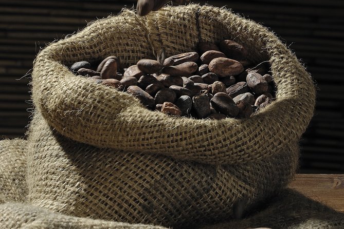 Private Dark Chocolate Tasting Tour in Paris - Two Hours of Dark Chocolate, No Guesswork
