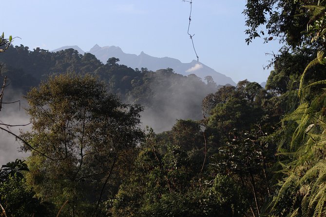 Private Full-Day Mindo Cloud Forest,Butterfly Farm, Chocolate Tour bird watching - Mindo Cloud Forest Hikes: Why This Stop Works