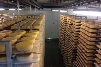 Private Guided Swiss Alps Day Trip from Zurich with Hotel Pick-Up - Appenzeller Schaukaserei: Cheese, Herbs, Cellars, And Tasting With Context