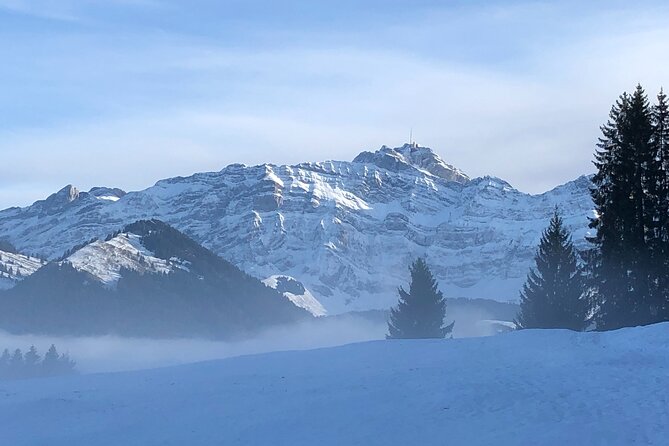 Private Guided Swiss Alps Day Trip from Zurich with Hotel Pick-Up - Price And Value: Why $369.13 Might Feel Fair (Or Not)