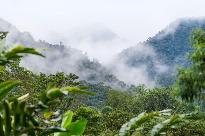 PRIVATE Mindo Cloud Forest tour - Quick take: what makes this Mindo day trip work