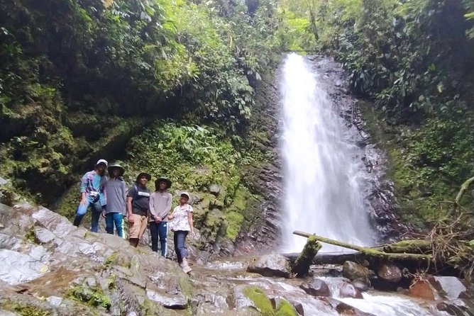 PRIVATE Mindo Cloud Forest tour - Mindo town hour: choose chocolate, zip-line, or a slower wander