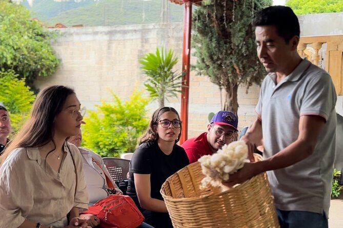 Private Monte Alban VIP : Mezcal and Zapoteco Art - Monte Albán: Guided Ruins Without the Guesswork