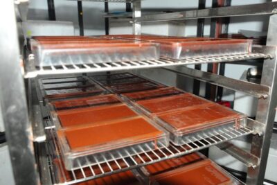 Private Tour to Aelan Chocolate Factory in Port Vila - Where the tour happens: ACTIV Centre in Port Vila