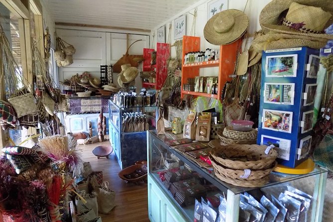 Private Tour to Aelan Chocolate Factory in Port Vila - Price and value: $11 for a private cocoa story