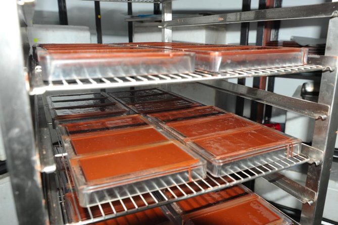 Private Tour to Aelan Chocolate Factory in Port Vila - Where the tour happens: ACTIV Centre in Port Vila