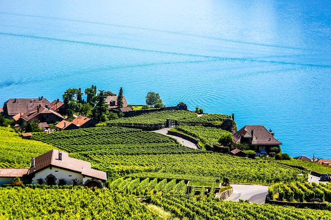 Private Tour to Gruyères, Chocolate & Cheese Factory from Geneva - Price and what you actually get for $629.22 per person