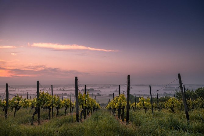 Private Wine and Chocolate Tour in Niagara Wine Region - Key Highlights You’ll Feel Immediately