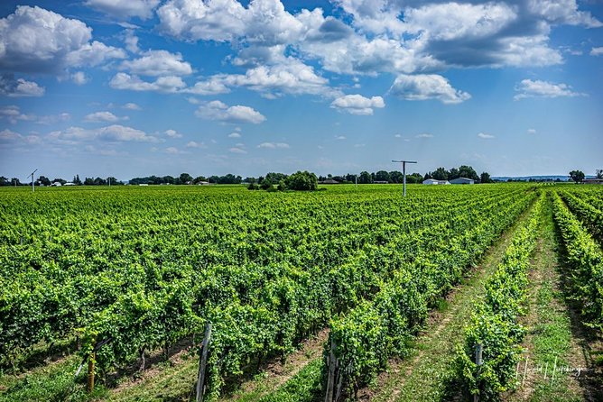 Private Wine and Chocolate Tour in Niagara Wine Region - The Day’s Core Route: Niagara on the Lake, St. David’s, and Chocolate in One Flow