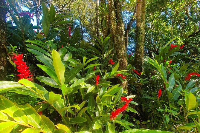 Puerto Plata City Tour with the Mount Isabel, Rum & Chocolate - A big Puerto Plata sampler in about 6 hours