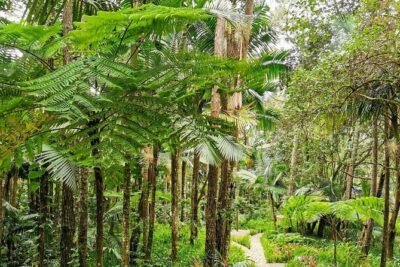 Puerto Plata City Tour with the Mount Isabel, Rum & Chocolate - Getting to Mount Isabel de Torres, and what to do if the cable car is down