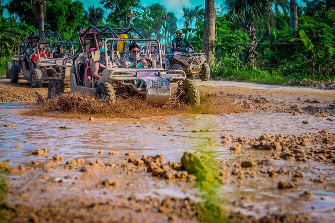 Punta cana Boogie into the Jungle with Coffee and Chocolate Taste - Pickup Timing: The 90-Minute Heads-Up Matters