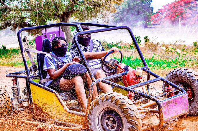 Road Off Half Day Buggy with Chocolate and Coffee Tasting - Key highlights you’ll feel right away