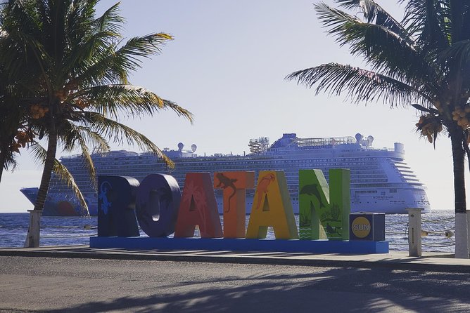 Roatan Monkey and Sloth Tour with Chocolate and Rum Factory - How This Roatan Tour Stays Worth It at $75