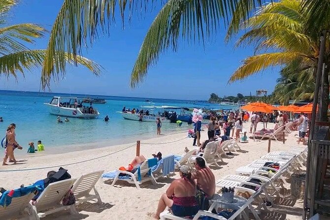 Roatan Sloths & Monkeys, Chocolate Factory plus Beach Break - Key Highlights You’ll Feel in Real Life