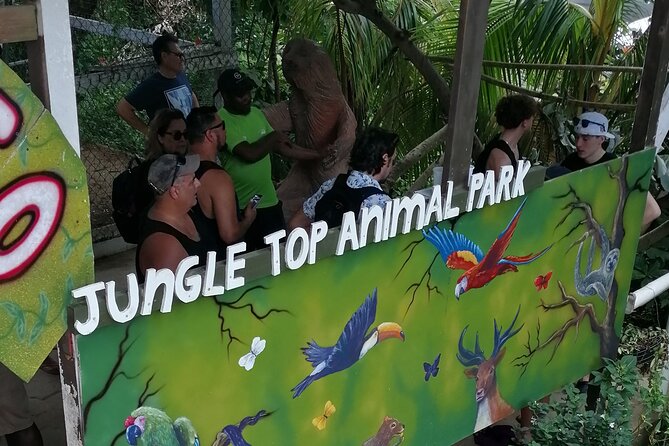 Roatan Sloths & Monkeys, Chocolate Factory plus Beach Break - Roatan Chocolate Factory: Learn, Then Taste (About 30 Minutes)