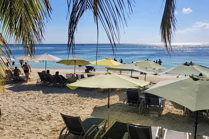 Roatan Sloths & Monkeys, Chocolate Factory plus Beach Break - Private Tour Value: Why $75 Can Make Sense for Cruise Days