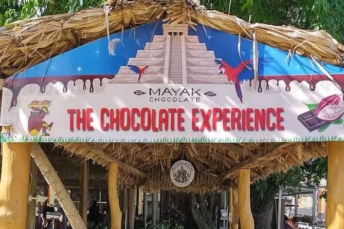 Roatan Zipline Adventure, Sloths & Monkeys,Chocolate Factory Tour - Key Things I’d Highlight Before You Go