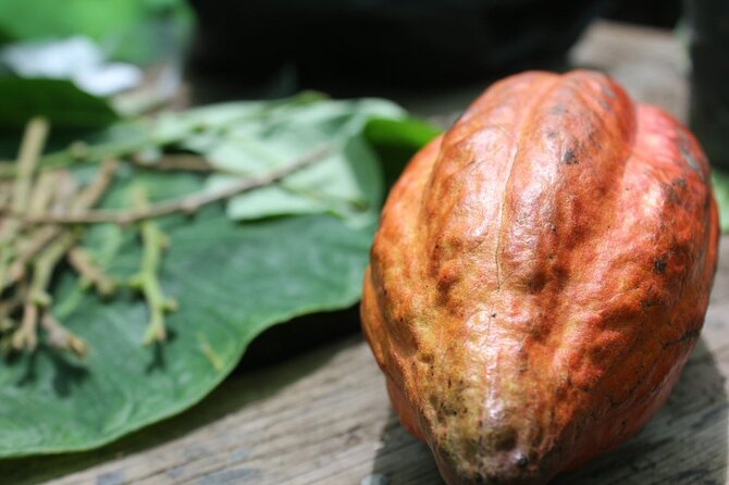 Rum & Chocolate Tasting Tour : Journey into Flavor - Key Highlights You’ll Care About