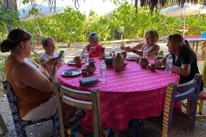 Sayulita Magical Town Tour: Local food, and chocolate. - Price and value: what $95 buys for a food-focused day