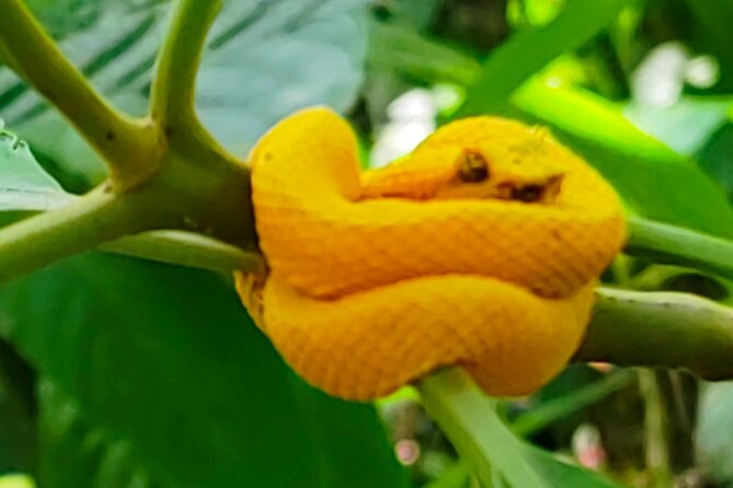 Sloths in the Rain Forest and Safari by the River - El Jardín Liberia: a short souvenir stop that feels optional