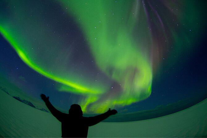 Small-Group Tour: Northern Lights with Photos & Hot Chocolate - What hot chocolate and pastries actually add to the night