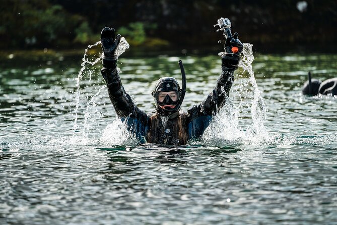 Snorkel the Silfra Fissure-Meet on Location (Free Photos & Cocoa) - Why Silfra Fissure feels like a science experiment you can swim in