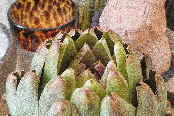 Soul Revitalization: Cacao Ceremony & Sound Healing in Mérida - Ceremonial cacao: what you drink, and what you learn