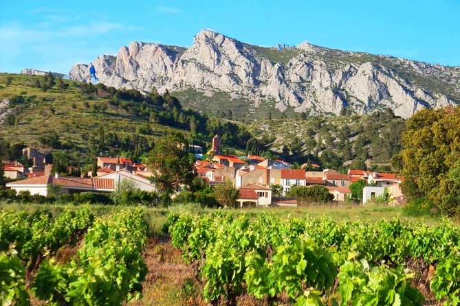 tasting workshop of 6 to 8 wines with charcuterie chocolate cheese - Key highlights to look for