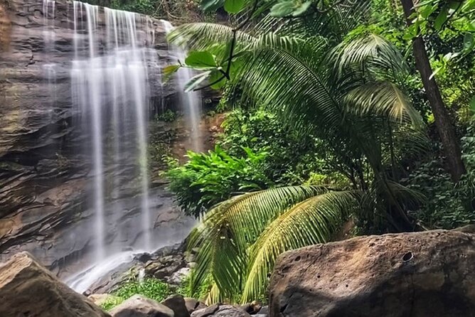 Taxi & Tours in Grenada , Chocolate factory, & more. - Grand Étang Lake and Mona Monkey: Nature That Changes the Mood