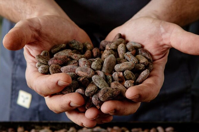 The Turin Chocolate Factory Guided Tour & Tasting - Str. Vivero, 75b: where the tour actually starts