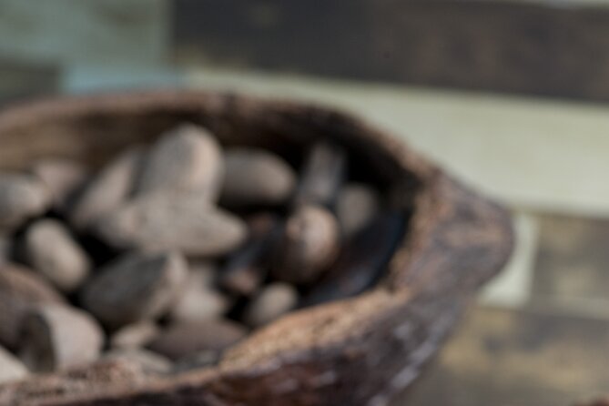 Tour to Uxmal , Cenote Sambula and Chocolate Museum Story - Group Feel, Guide Style, and Language Support