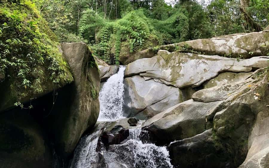 Trekking History and Indigenous Heritage in Minca + Cacao & Coffee + Waterfall - Trekking Minca’s Tayrona-era trails: what the hike teaches you