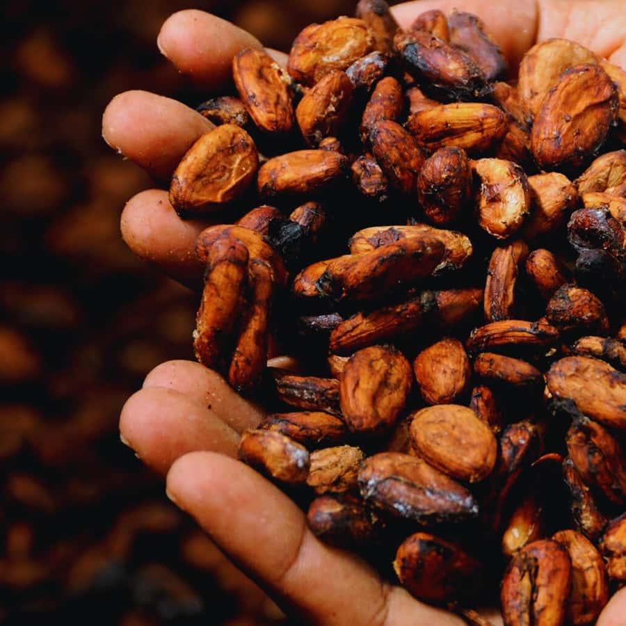 Trekking History and Indigenous Heritage in Minca + Cacao & Coffee + Waterfall - The waterfall moment: why you should plan for water on the hike