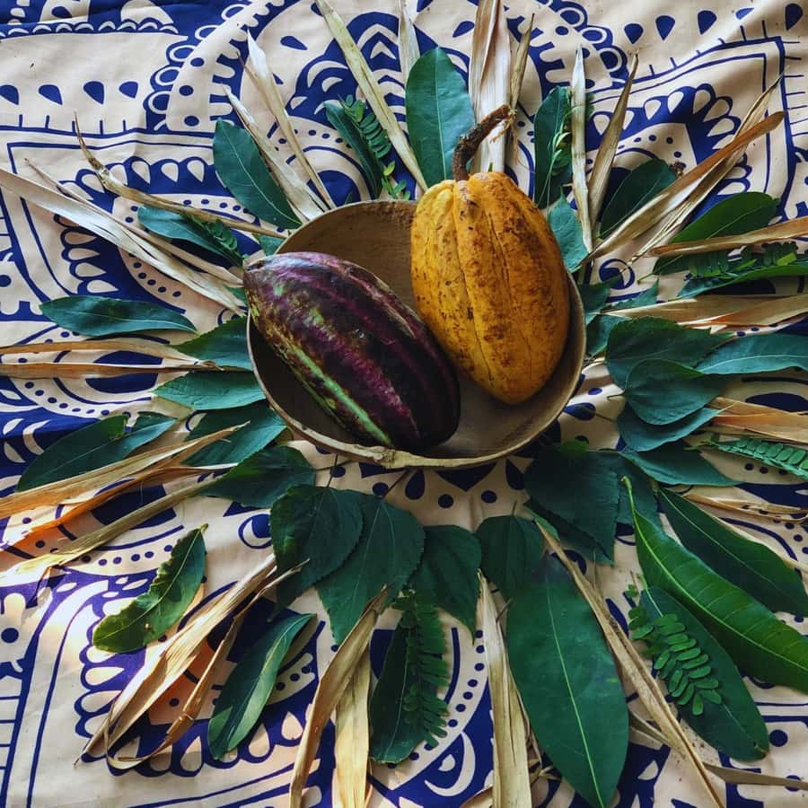 Trekking History and Indigenous Heritage in Minca + Cacao & Coffee + Waterfall - What to pack for a medium hike in the Minca jungle