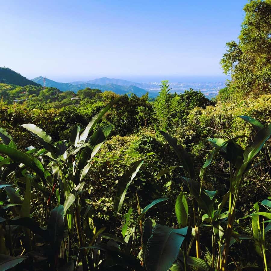 Trekking History and Indigenous Heritage in Minca + Cacao & Coffee + Waterfall - FAQ