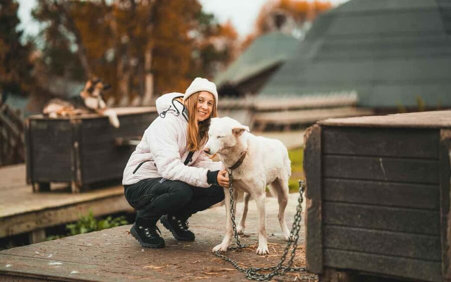 Tromsø: Husky Meet and Greet with Homemade Chocolate Cake - Why This Tromsø Husky Meet-and-Greet Works in 2 Hours