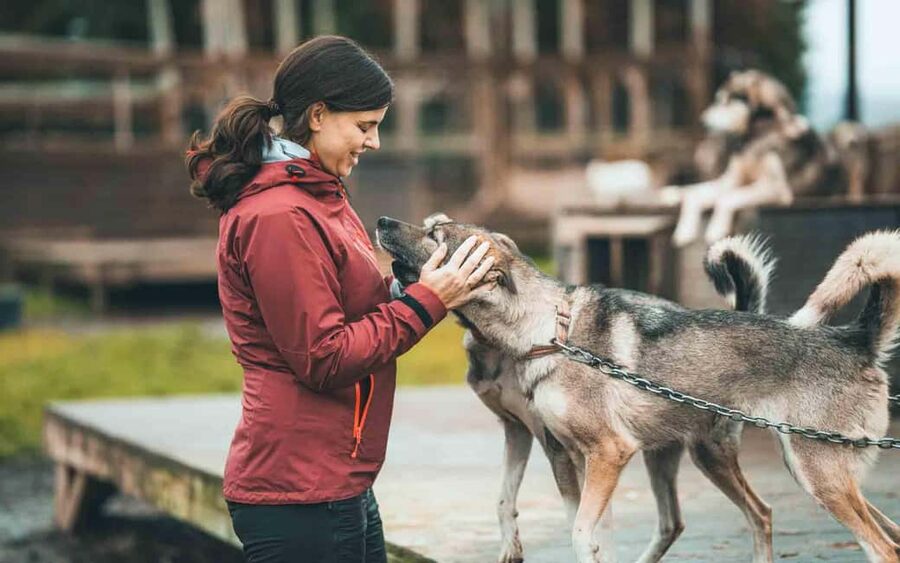 Tromsø: Husky Meet and Greet with Homemade Chocolate Cake - Who This Husky Experience Fits Best (and Who Should Skip)
