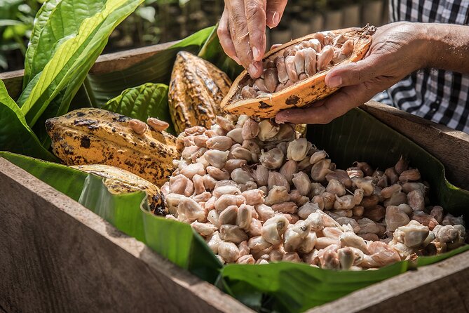 Tulum: Chocolate & Honey Sanctuary Experience with Cenote - Price and Value: What Your $129 Covers