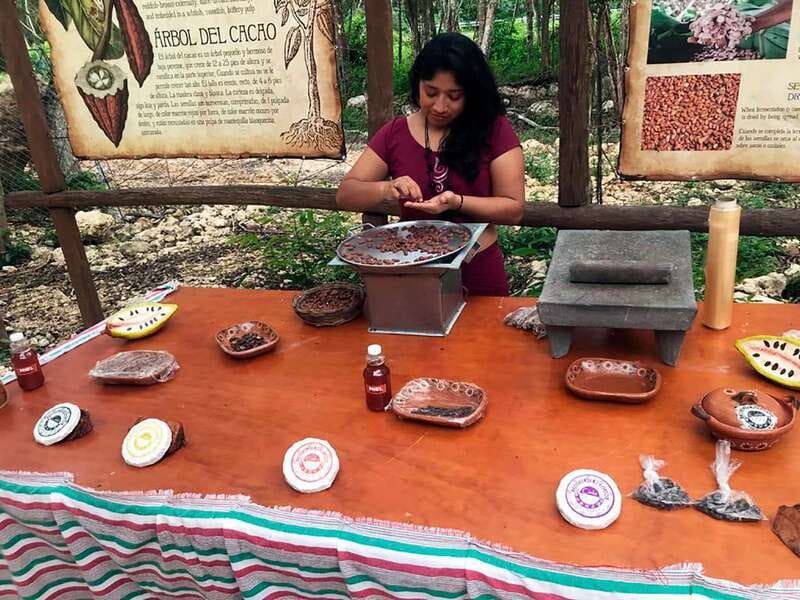 Tulum: Chocolate & Honey Sanctuary Experience with Lunch - Key highlights you should plan for