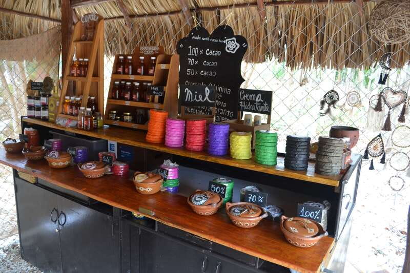 Tulum: Chocolate & Honey Sanctuary Experience with Lunch - Roasting, grinding, and flavor-picking your organic chocolate