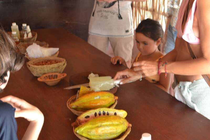 Tulum: Chocolate & Honey Sanctuary Experience with Lunch - Pace, group size, and how hands-on the day feels